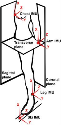 Assessment of Basic Motions and Technique Identification in Classical Cross-Country Skiing